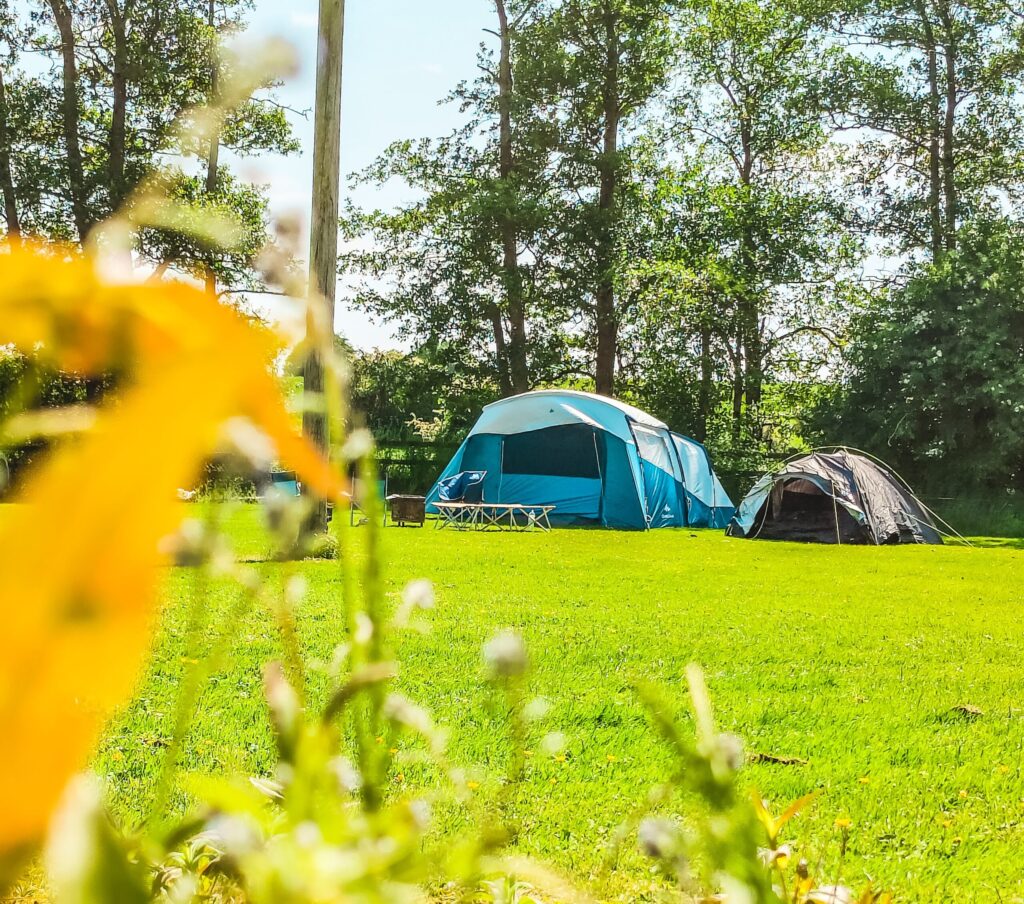 Bective Mill Glamping & Camping ACCOMMODATION